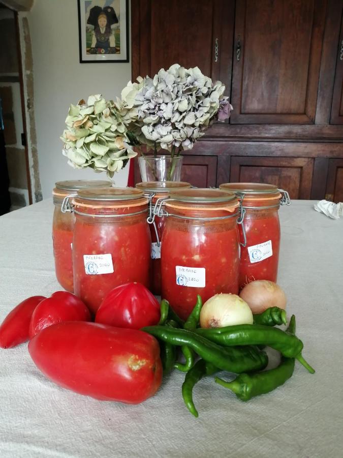 Domaine De La Castagnere Bed & Breakfast Castetnau-Camblong Bagian luar foto